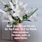 Scentsicles Stick Lemon 'n Lilies and Berryvines & Wildflowers, 2 pack of 6